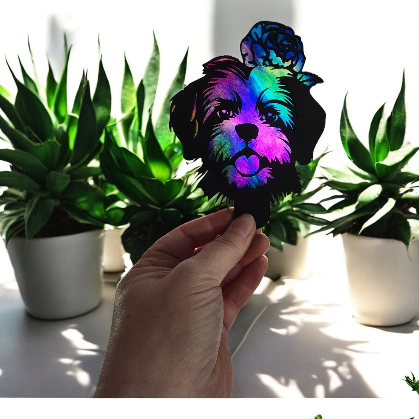 Digital Download Havanese Nightlight and Suncatcher SVG Bundle | Jones Laser Craft