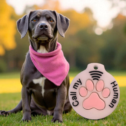 Smart Pet ID Tag - Custom Dog Tag SVG for Laser Cut Emergency NFC Safety